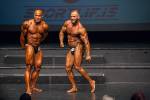 Bodybuilding -100kg class