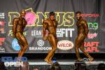 Bodybuilding_381