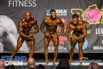 Bodybuilding_391