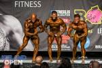 Bodybuilding_392