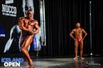 Bodybuilding Novice