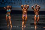 Bodybuilding overall title