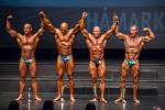 Bodybuilding +100kg class